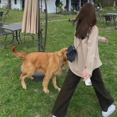 摊牌啦，财阀夫人就是我